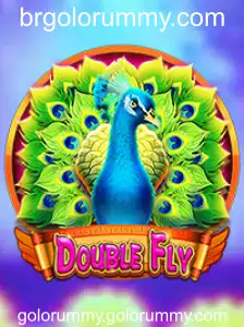 Descubra o Mundo do DoubleFly: Regras e Estratégias