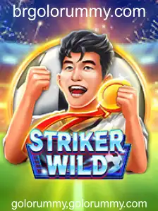Descubra o Universo de StrikerWILD: Regras e Inovações